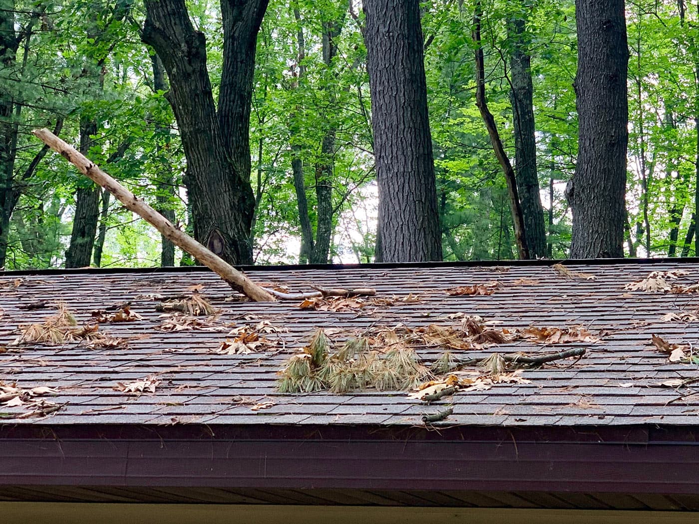 Roof Storm Damage Indianapolis IN