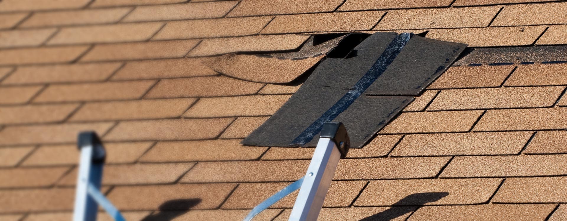 Roof & Shingle Repair