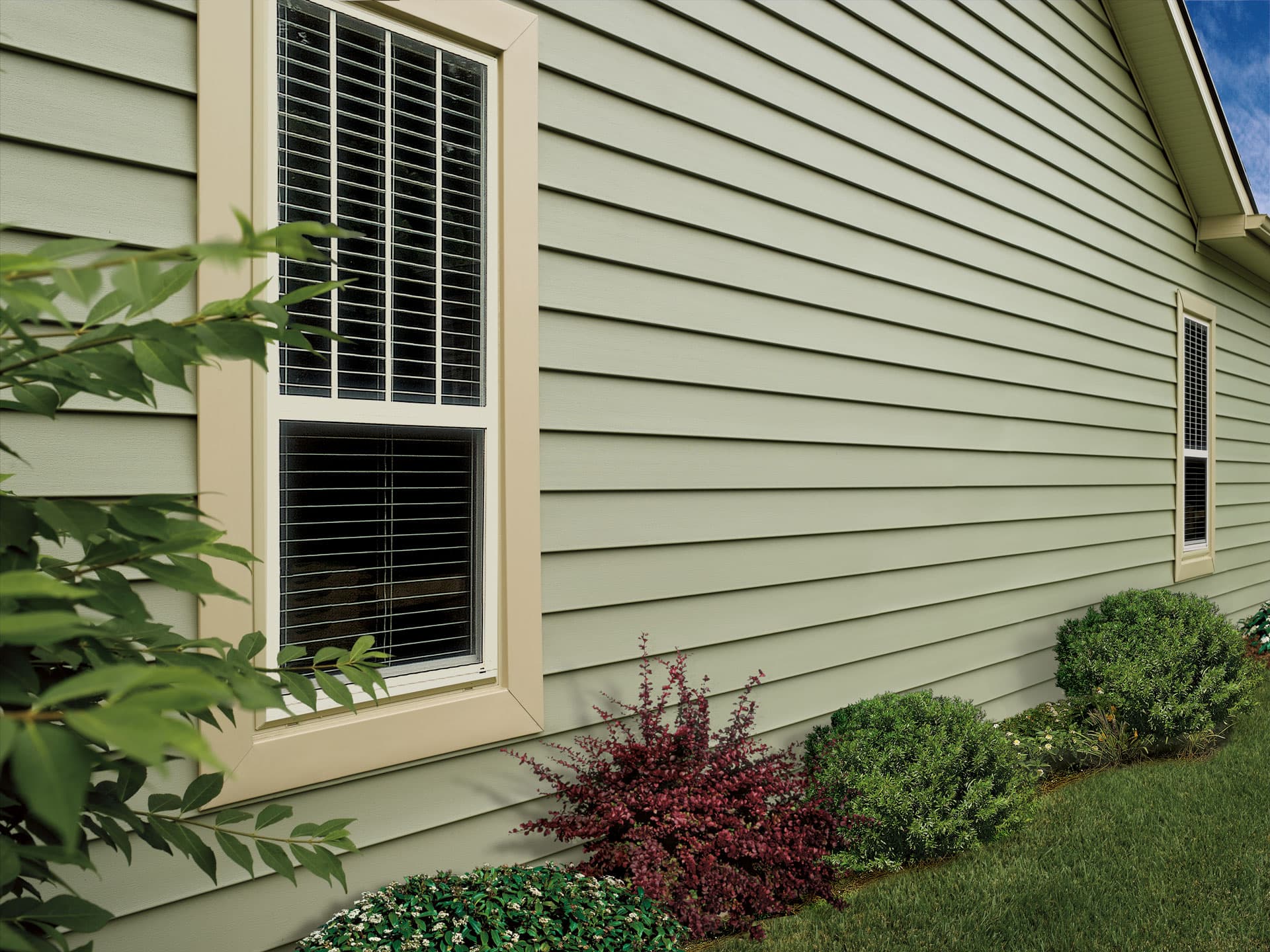 Siding Replacement