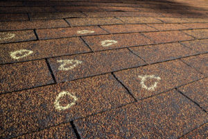 A shingle roof with hail damage circled in chalk.